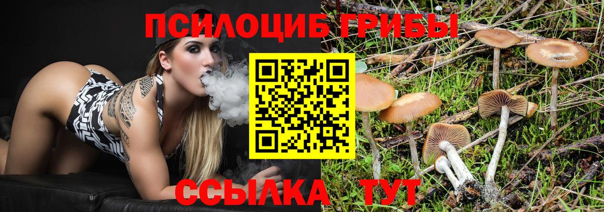 Псилоцибиновые грибы ЛСД Хабаровск